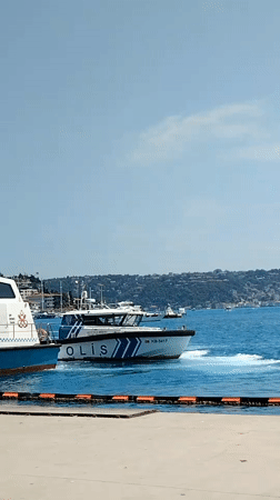 Morning stroll through sunny Beşiktaş waterfront captured by single witness