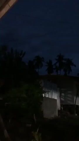 The video is an extremely dark, shaky, and blurry handheld shot of an outdoor scene at night. The sky is a deep, cloudy blue, indicating either dusk or pre-dawn. Silhouettes of palm trees are visible against the sky. In the foreground, there are glimpses of structures that appear to be houses or shacks, some with corrugated metal walls and what looks like a wooden roof. A single bright light bulb illuminates the area around one of the structures. The overall impression is of a rural or impoverished setting at night, with limited visibility. The camera appears to be moving, possibly from inside a vehicle, as indicated by the blur and the rocking motion. There are no visible people or clear interactions.