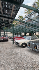 Vintage Mercedes exhibition and belly dance performance in Belashtitsa