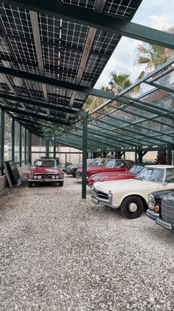 Vintage Mercedes exhibition and belly dance performance in Belashtitsa