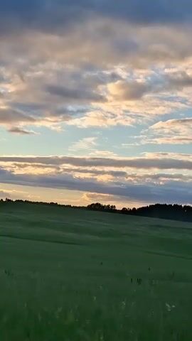The video pans across a vast, green field under a dramatic sky filled with clouds. The sun is setting, casting golden rays through gaps in the clouds, illuminating the landscape with a warm glow. Trees form a dark silhouette along the horizon. The camera moves from left to right, revealing more of the expansive field and the changing sky. The overall impression is one of natural beauty and tranquility.