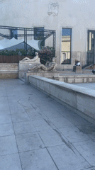 Afternoon stroll around the Eiffel Tower and the Seine