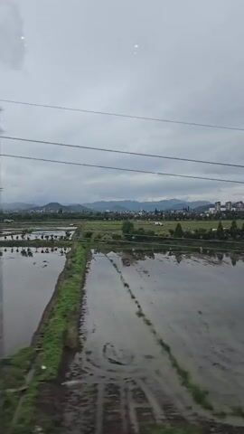 The video shows a panoramic view of a rural landscape from a moving vehicle, possibly a train or car. The sky is overcast and cloudy, creating a muted light. In the foreground, there are flooded fields, likely rice paddies, reflecting the sky and the distant scenery. These fields are divided by thin lines of dry earth or vegetation. Further back, a green expanse of trees and fields is visible, with a path or road cutting through it. In the distance, a town or city with buildings and a communication tower can be seen nestled against rolling hills. The overall impression is one of a damp, agricultural environment under a cloudy sky.