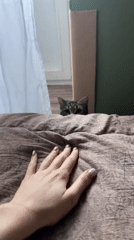 Morning domestic life documented in Chaikovsky, Russia households