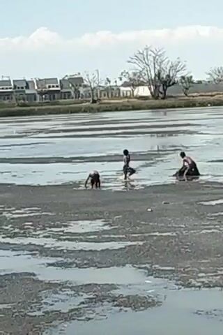 The video shows three people in a shallow, muddy body of water under a clear sky with some clouds. The person on the left is bent over, possibly looking for something in the mud. The person in the middle is standing and appears to be observing something. The person on the right is crouched down and seems to be interacting with something in the water. In the background, there are buildings, trees, and a fence. The water is a grayish-brown and appears to have some debris floating on it.