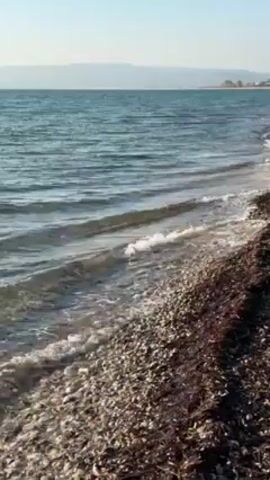 The video shows a peaceful shoreline. The water is clear and slightly choppy, with small waves washing gently onto a beach covered in pebbles and dark seaweed. In the distance, a low mountain range is visible under a clear sky. The sun is shining, illuminating the scene. There are no people or boats visible.