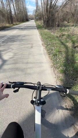 The video shows a first-person perspective of someone riding a white mountain bike on a narrow paved path alongside a road. The road runs straight ahead, flanked by tall, bare trees on both sides. On the right of the path, there's a grassy and brushy area. The sky above is blue with scattered white clouds. The handlebars of the bike are visible in the foreground, and the rider's hand can be seen occasionally. The shadow of the trees falls on the path and road. The rider is moving steadily forward.