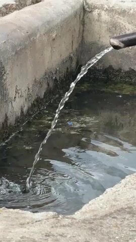 A close-up shot focuses on a stream of water pouring from a pipe into a concrete basin. The water is clear and appears to be flowing at a steady rate, creating ripples on the surface of the water in the basin. The basin itself is made of rough, weathered concrete, and its interior walls are stained and have some algae or moss growth. The water in the basin is murky and a small blue object is visible submerged in it. The background is blurred, but appears to be an outdoor setting with sunlight casting shadows. The overall impression is one of a functional water source, possibly in an outdoor or agricultural context.