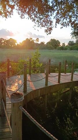The camera is turned sideways, presenting a landscape view. A wooden boardwalk extends into a grassy field, bordered by dense green foliage on the right and a tree on the left. The boardwalk has wooden posts connected by rope railings. In the distance, chairs and a table are visible on the boardwalk. The sun is low in the sky, casting a golden glow across the scene.