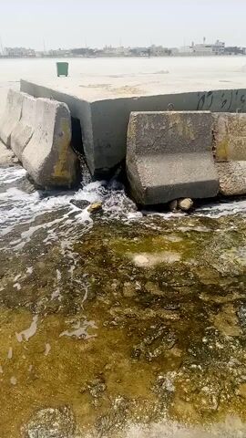 The video shows water trickling between some concrete blocks and into a pool of stagnant water filled with algae. The camera is stationary and angled downwards towards the water. In the background, there is a concrete platform leading towards buildings in the distance, and the sky is bright and overcast. There are no people visible in the video.