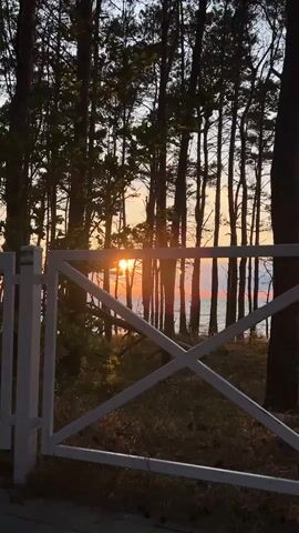 The video captures a view through a white wooden gate with an 'X' design towards a sunset over the ocean, framed by tall trees. The sun is visible between the trees, casting a warm glow. The ocean is calm, and the sky displays hues of orange and pink. The foreground shows dry grass and what appears to be a path. The overall atmosphere is serene and natural.