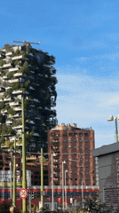 Exploring Milan's Porta Nuova district with peonies and metro stops