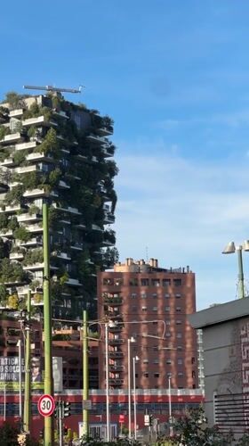 Exploring Milan's Porta Nuova district with peonies and metro stops