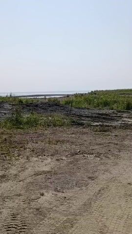 A video shows a dirt road leading towards a body of water. The sky is clear and blue, and there are green plants growing along the roadside. In the distance, there are mountains. The camera appears to be moving, possibly from a vehicle. There are no people visible in the video.