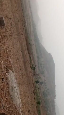 The video shows a landscape with dry, brown fields in the foreground and hills in the background. The sky is overcast, creating a misty or hazy atmosphere that obscures the details of the distant landscape. There are small trees and sparse vegetation scattered across the fields and up the hills. A couple of rocks are visible in the lower-left corner of the frame. The video appears to be taken from a static position.
