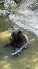 Zoo animals observed during afternoon visit in Palić, Serbia