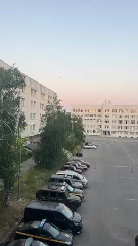 A vertical, wide shot captures an outdoor scene at dusk. On the left, a tall, light-colored building stretches upwards. In front of it, a line of parked cars, including several black SUVs and sedans, are visible. A few trees stand between the building and the parking area.

The center and right of the frame are dominated by a large, empty asphalt lot. In the distance, a larger, light-colored building with many illuminated windows is present, bordered by a dense line of green trees. Several parked cars, including a white van, are scattered in front of this building. The sky above is a soft gradient of pale blue and pink, with a few small birds in flight. A pale moon is also visible. The lot has some orange cones and yellow caution tape visible in the background.