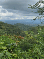 Couple photographed on scenic path in lush Banjar hills