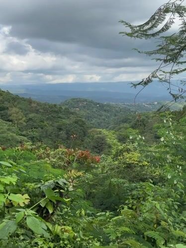 Couple photographed on scenic path in lush Banjar hills