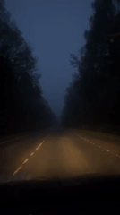 Foggy nighttime driving captured on tree-lined road in Russia