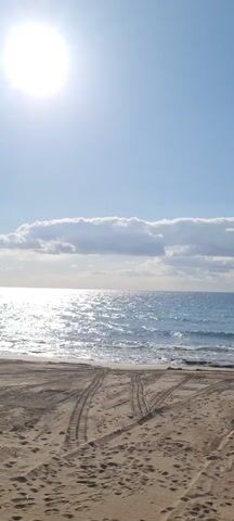 The video presents a bright, sunny day at a sandy beach with tire tracks leading towards the water's edge. The sky is mostly blue with scattered white clouds. The ocean, stretching to the horizon, shimmers with reflected sunlight, and gentle waves are visible near the shore. There appear to be patches of green algae or vegetation near the beach. No people are visible in the frame.