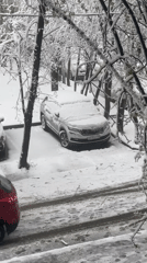 Late spring snow blankets vehicles, trees in Khimki
