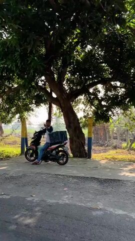 A person is sitting on a black scooter parked under a large tree. The person is wearing a blue shirt and jeans. They are holding a phone to their ear. The scooter has a large black box attached to the back. The scene is outdoors, with grass, trees, and a dirt path visible. There are also two yellow and blue striped posts behind the scooter. The lighting suggests it is daytime.