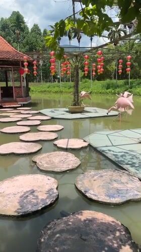 Visitors bottle-feed koi fish at Vietnam park pond