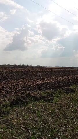 The video shows a vast, freshly tilled field under a bright sky dotted with fluffy white clouds. The brown, rough soil of the field stretches out to the horizon, where a line of trees blurs the line between earth and sky. In the foreground, patches of green grass peek through the tilled earth, indicating the edge of the field. An overhead power line is visible in the upper part of the frame. The overall impression is one of open space, agriculture, and a clear, though partly cloudy, day.