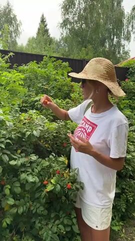 A woman wearing a straw hat and sunglasses stands next to a bush with red berries. She is wearing a white t-shirt with a red graphic and white shorts. She is holding a berry in her hands and appears to be examining it or preparing it in some way. The background shows greenery, a fence, and trees.