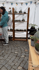 Shoppers browse outdoor marketplace with white tents on cobblestone