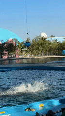 Marine park dolphin and sea lion show entertains crowds