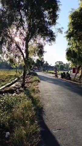 A person rides a bicycle down a paved road flanked by trees. The sun shines brightly through the leaves of a tree on the left side of the road. There are other people and motorcycles parked on the right side of the road. The environment appears to be rural, with fields and some buildings visible in the background.