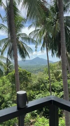Morning tropical landscape view captured from balcony in Thailand