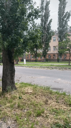 Cut tree limb blocks sidewalk in Mykolaiv residential area
