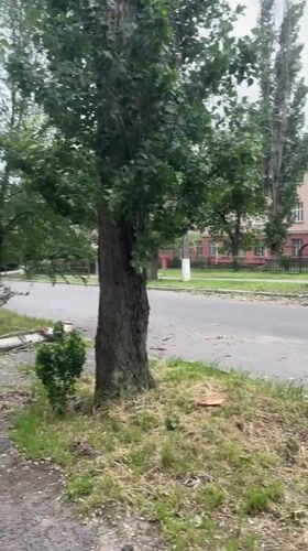 Cut tree limb blocks sidewalk in Mykolaiv residential area
