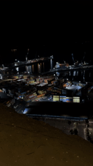 Lit star landmark towers over a busy port city at night