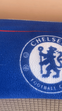 Chelsea FC item and urban greenspace documented by witness