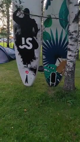 The video shows two paddleboards propped up against birch trees. The paddleboard on the left has a black silhouette of a person and a logo on it. The paddleboard on the right has a tropical leaf pattern. In the background, there is a campsite with a tent and a folding chair with an orange life vest on it. The scene is outdoors, with grass and trees. The lighting suggests it is either early morning or late evening.