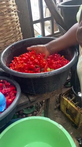 Lagos vendor sorts red peppers at market stall