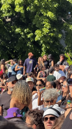 Outdoor music festival draws diverse crowd in New York