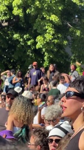Outdoor music festival draws diverse crowd in New York
