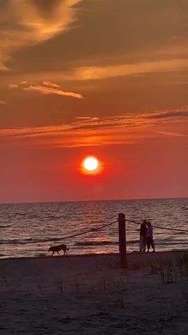 A wide shot of a beach at sunset. The sun is a bright, red orb in the center of the frame, low on the horizon over the ocean. The sky is filled with vibrant orange and pink clouds. Waves gently lap at the shore. In the foreground, a sandy beach with some dry grass is visible. On the left side of the frame, a dog is walking along the water's edge. On the right side of the frame, two people stand near a wooden post with a rope barrier. The people appear to be facing each other, possibly talking. The overall scene is peaceful and serene.