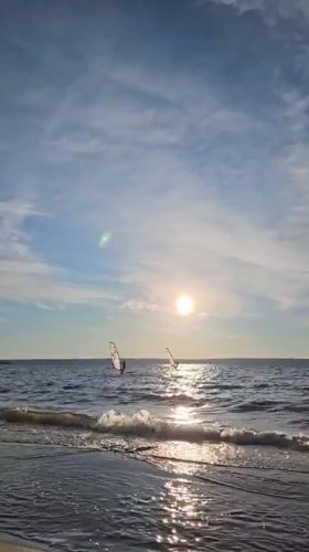 Windsurfers and dogs enjoy a sunny afternoon on the water
