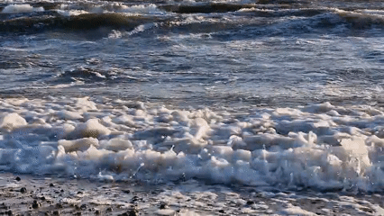 Afternoon on the Baltic: waves, kites, and a Klaipėda beach