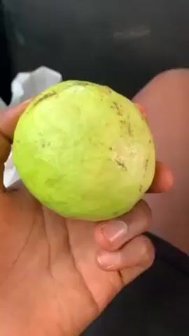 A hand holds a green guava, then splits it in half, revealing a pale pink interior. The hand is dark-skinned, and a person is wearing black shorts. A white plastic bag sits on the person's lap. The person appears to be sitting in a car.