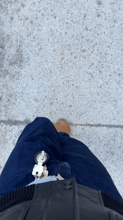 Evening walking tour through Montreal's Chinatown and downtown