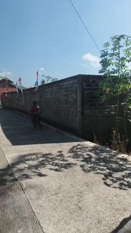 A young boy rides a bicycle down a paved road under a bright, clear sky. He is wearing a red shirt and shorts. The road is lined with a brick wall on one side and lush green trees on the other. There are flags hanging on poles along the wall. Sunlight casts shadows on the road.