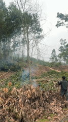 Hillside clearing operation with smoke observed in Đà Nẵng