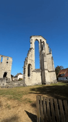 Morning walk around Walkenried Abbey ruins with a French bulldog